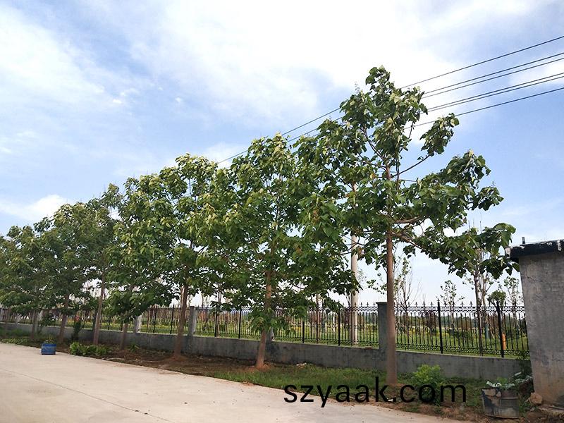 濟寧(ning)市(shi)大氣環(huan)境(jing)質(zhi)量2015年12月份13縣市(shi)區排(pai)名