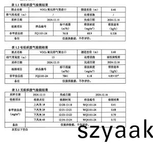 檢(jian)測(ce)報告(2024.12.31)