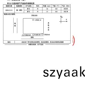 檢(jian)測報告(gao)(2024.12.31)